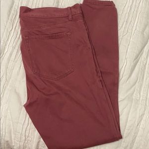 Loft Pant-Like NEW